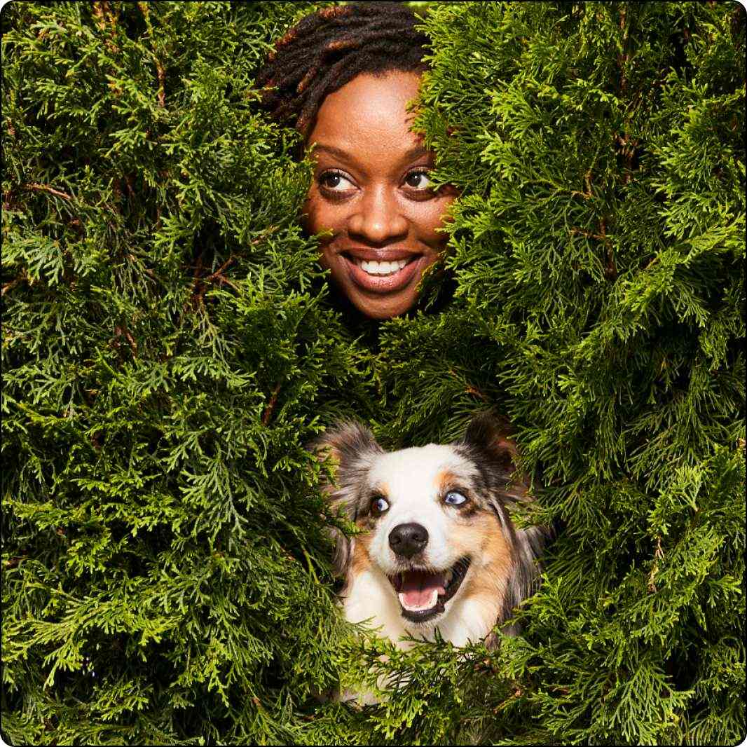 Flea and tick