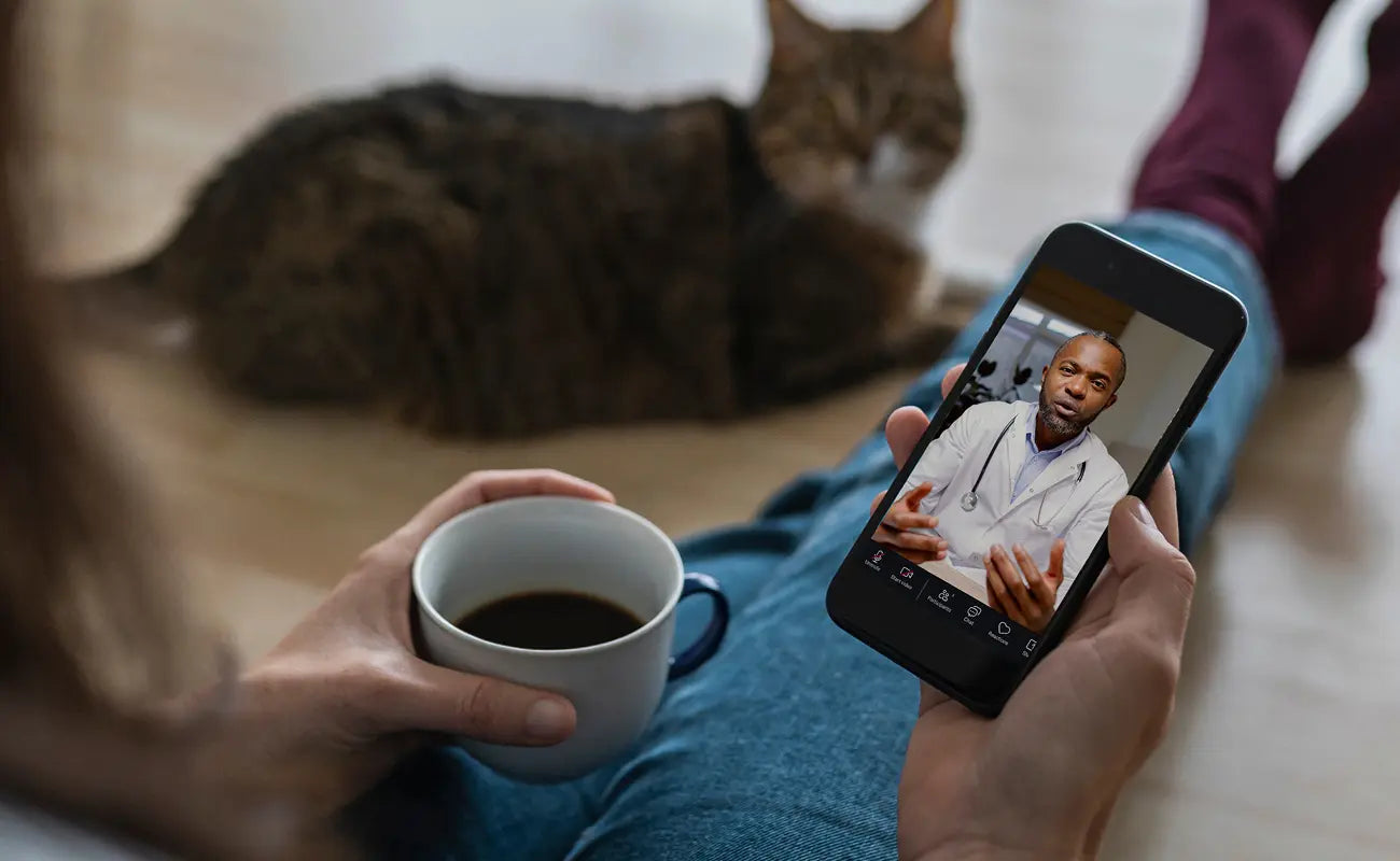 Video chat with a licensed vet